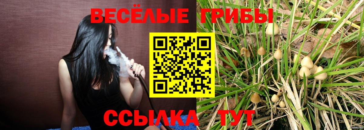Псилоцибиновые грибы MAGIC MUSHROOMS  Вход с VPN  Новокубанск 