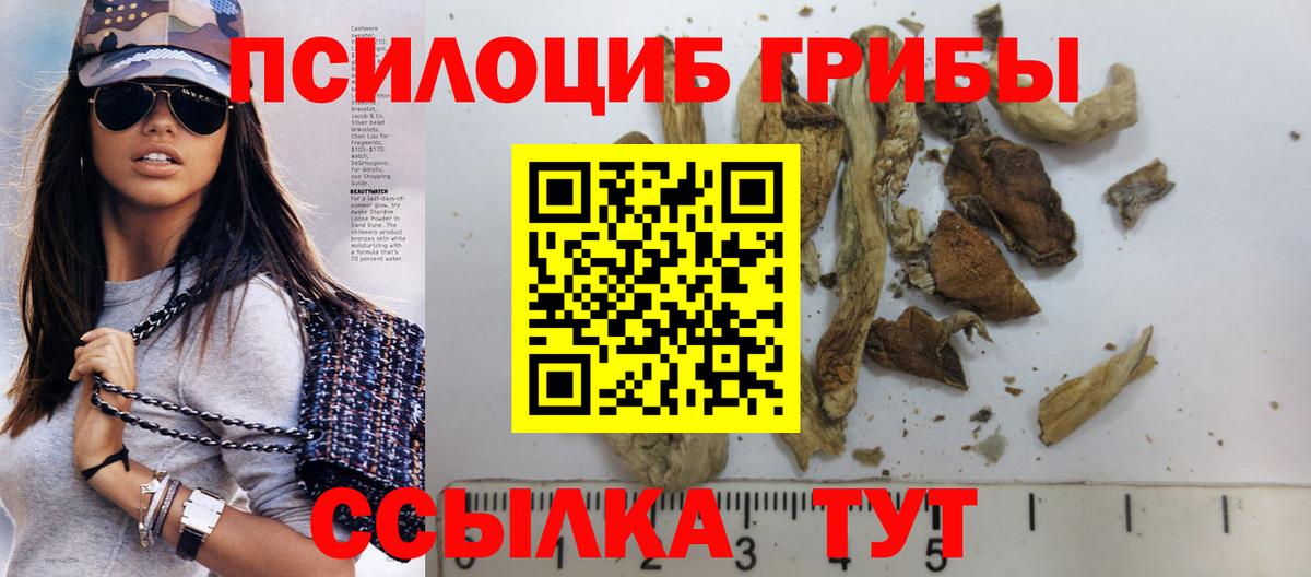 Галлюциногенные грибы ЛСД Новокубанск